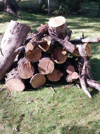 Free applewood (Moorhead)63908671783939121