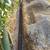 French Drain Install - Foundation Epoxy Crack Repair ☎️ ☎️ ☎️ 9 thumbnail