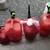 Empty Gasoline containers 2 thumbnail