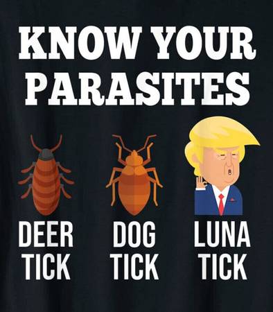 Know Your Parasites 1