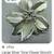 Vintage Brooches and Stick Pin 13 thumbnail