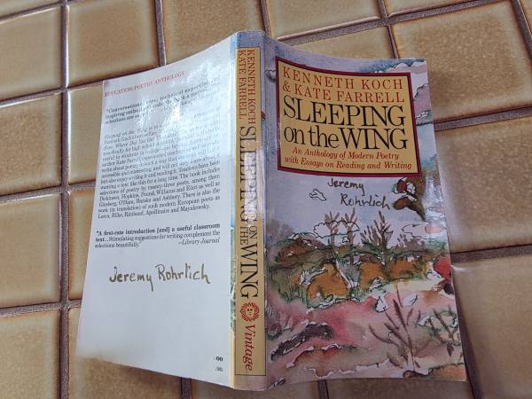 Sleeping on the Wing by Kenneth Koch & Kate Farrell 1