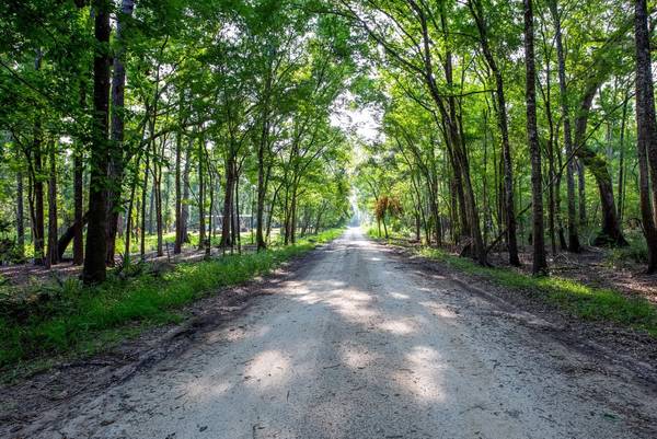 $14,500 / 20017ft2 - Land for Sale -Rare .46acre LAND RV/camping or Home lot-Suwannee River (O’BRIEN)64049280571011121