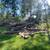 Firewood Service - from NEPA, to northern NJ and the Mid-Hudson Valley 9 thumbnail