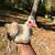 Gamefowl 1 thumbnail