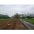 Dozer work ponds,land clearing, water ways parking and more 12 thumbnail