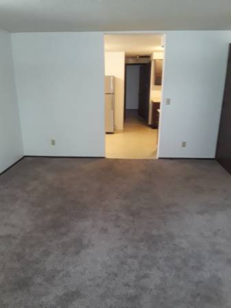 $875 / 1br - Apartamento de una habitación, alquiler mensual de $875 (vecindario Elliot Park, Minneapolis)63797857411075124