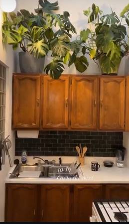 $1,600 / 1br - Wrigleyville 1 bedroom with charming historical touches (Wrigleyville)64041645888002123