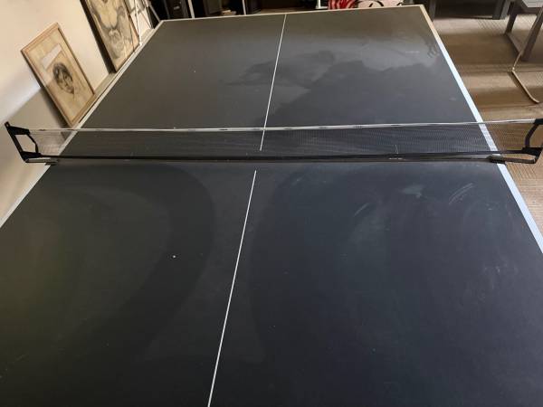 Ping pong table 1