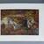 ERNST HAECKEL WANDERBILDER CEYLON 1906 22 thumbnail