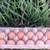 Farm fresh eggs 2 thumbnail