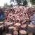 Premium Cherry firewood 3 thumbnail