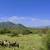 37 Acre Build-Ready Ranch -Well, Power & Septic - Owner Says Sell! 2 thumbnail