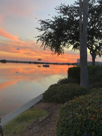 $1,100 / 2br - 1250ft2 - Beautiful property Furnished private room and bathroom (Tampa)64002493177730121