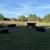 Bred cows 8 thumbnail
