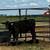 Weaned calves 3 thumbnail