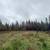 REDUCED!  45.22 Mostly Usable Acres with 2 Wells, Solar, Ag Bldg 2 thumbnail
