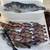2011 Seaswirl 2605 WA Striper!!! 22 thumbnail