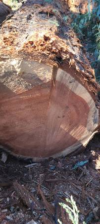 REDWOOD LOGS FOR SALE - $100 (novato)63471437825027124