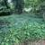 Xtreme Landscape 21 thumbnail