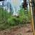 Brushhog/mulching, landclearing 4 thumbnail