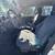 2004 Chrysler PT Cruiser (101K-Miles) Passed Smog 5Speed!! 11 thumbnail
