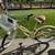 Trek Women’s 7 Speed Cruiser 1 thumbnail