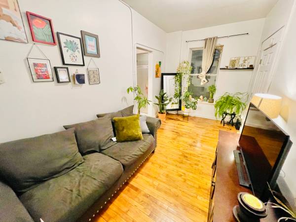 $1,250 / 1br - 600ft2 - 🥦Loud but Cute 1bed /central AC by blue line- DOGS OK! (River West/Fulton River District)63918533000835121