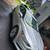 2017 ford fusion stock#1934 2 thumbnail
