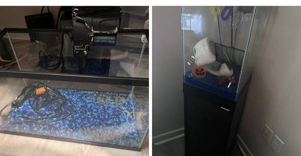 Fish tanks 1