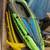 Inflatable Kayaks 1 thumbnail