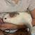 Bunnies! 2 thumbnail