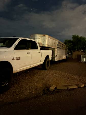 Livestock hauling 1