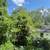 Tree Removal, Tree Trimming, Land Clearing-Virginia Commonwealth Land Management 18 thumbnail