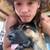 Lost German Shepherd 7 thumbnail