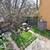 Room available in 4br 2ba near downtown 18 thumbnail