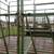 Forge King hayrack 5 thumbnail