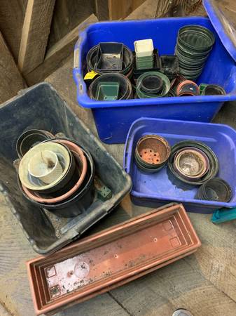 plant pots 1