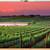 Wall Art - Vineyard Paintings (Two Paintings) 1 thumbnail