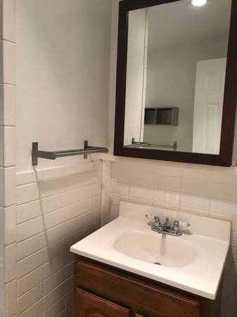 $3,000 / 1br - 800ft2 - Sótano inglés / casa adosada de 1 dormitorio en distrito declarado monumento / lavadora / jardín (Brooklyn)63862609864705124