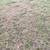 YARD CLEANUP HELP NEEDED - TODAY OR WEDNESDAY 2 thumbnail