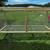 Laying Hens, Chicks, Hatching Eggs, Brooder Box 8 thumbnail