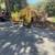 TREE &STUMP GRINDING &STUMP REMOVAL SERVICE 13 thumbnail