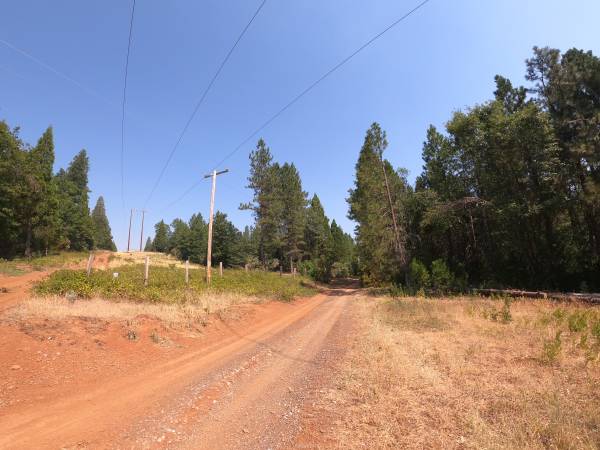 $19,900 Cheap land! 5 acres vacant land Montgomery Creek, CA with mature trees (Montgomery Creek, CA)63972531645698123