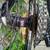 Focus Raven 29R Carbon Front Suspension Mountain Bike, Size S 17 thumbnail