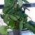 Plants 3 thumbnail