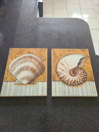 Sea Shell Nautical Wall Decor 1