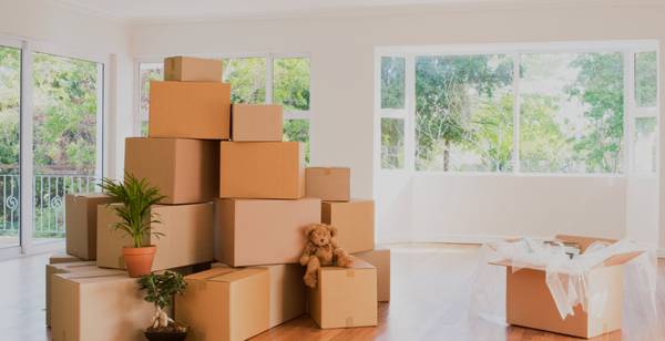 HELP NEEDED TODAY – UNPACKING & DATA ENTRY 1