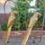 Pair of Brass and Copper Sergio Bustamante Parrots 1 thumbnail