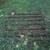 Rustic Box Spring for Garden Trellis 1 thumbnail